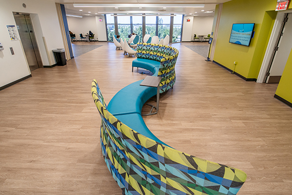 Science Library 5th floor study area couch and chairs